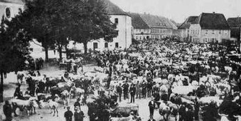 Viehmarkt am 18. Juli 1910 - Blick zum oberen Markt)