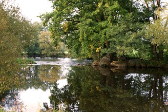 Der Fluss - "Die Pfreimd"